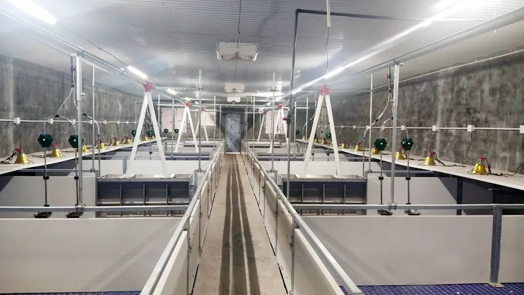 圖片6.png 圖片6.png