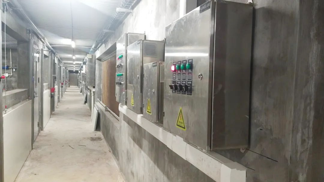 圖片9.png 圖片9.png