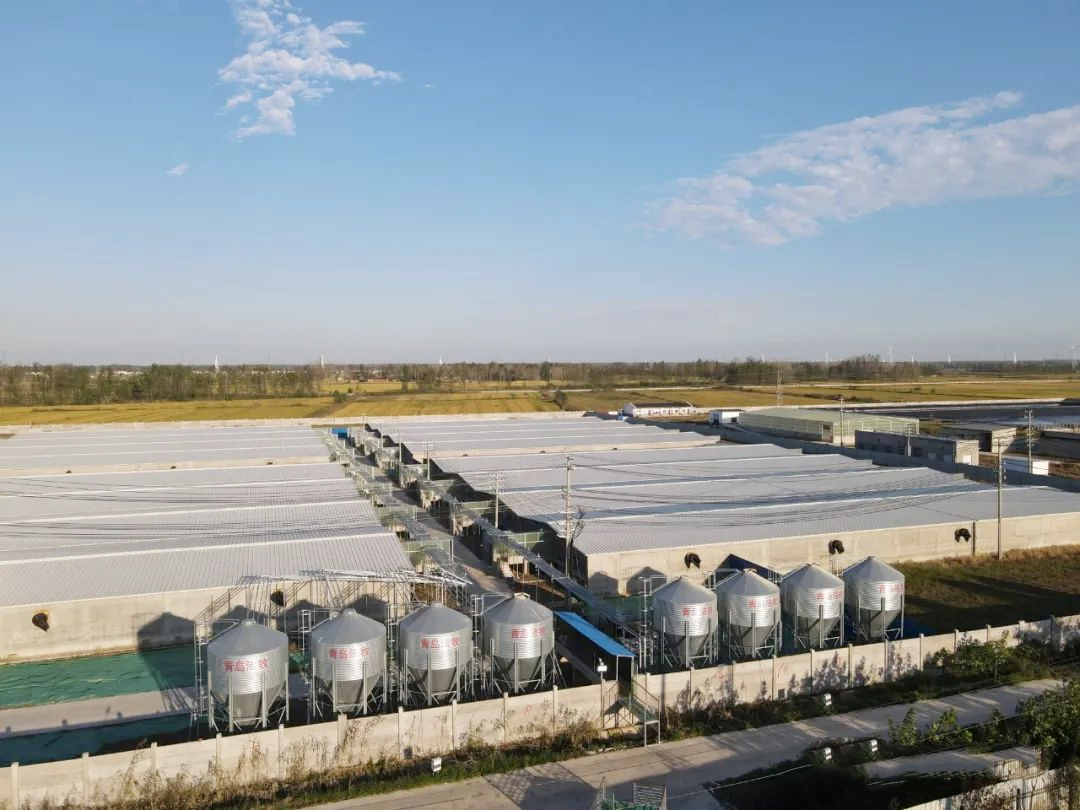 圖片14.png 圖片14.png