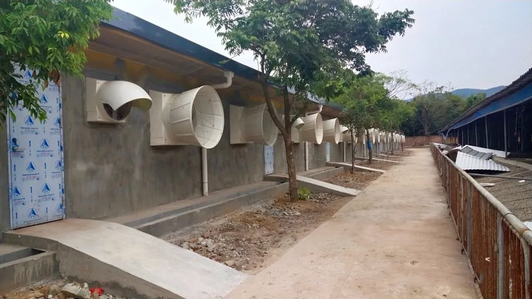 圖片5.png 圖片5.png