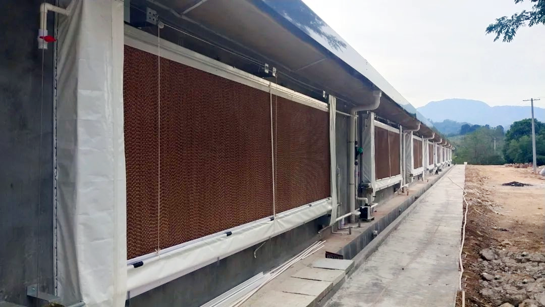 圖片4.png 圖片4.png