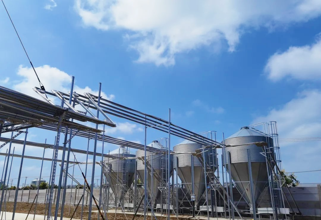 圖片15.png 圖片15.png