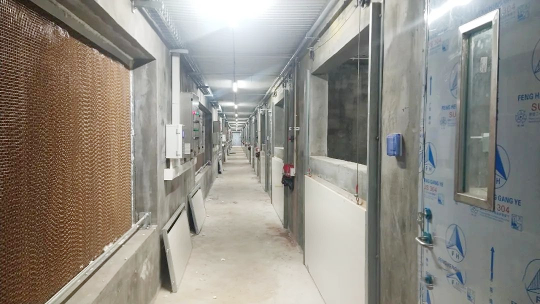 圖片8.png 圖片8.png