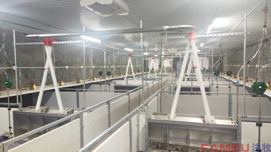 圖片2.png 圖片2.png