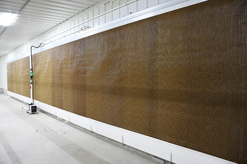 DSC_0161_01 拷貝.jpg DSC_0161_01 拷貝.jpg